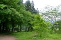 郡上 長良川