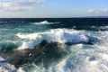 サラシ　白浜