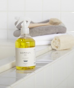 bath-cleaner