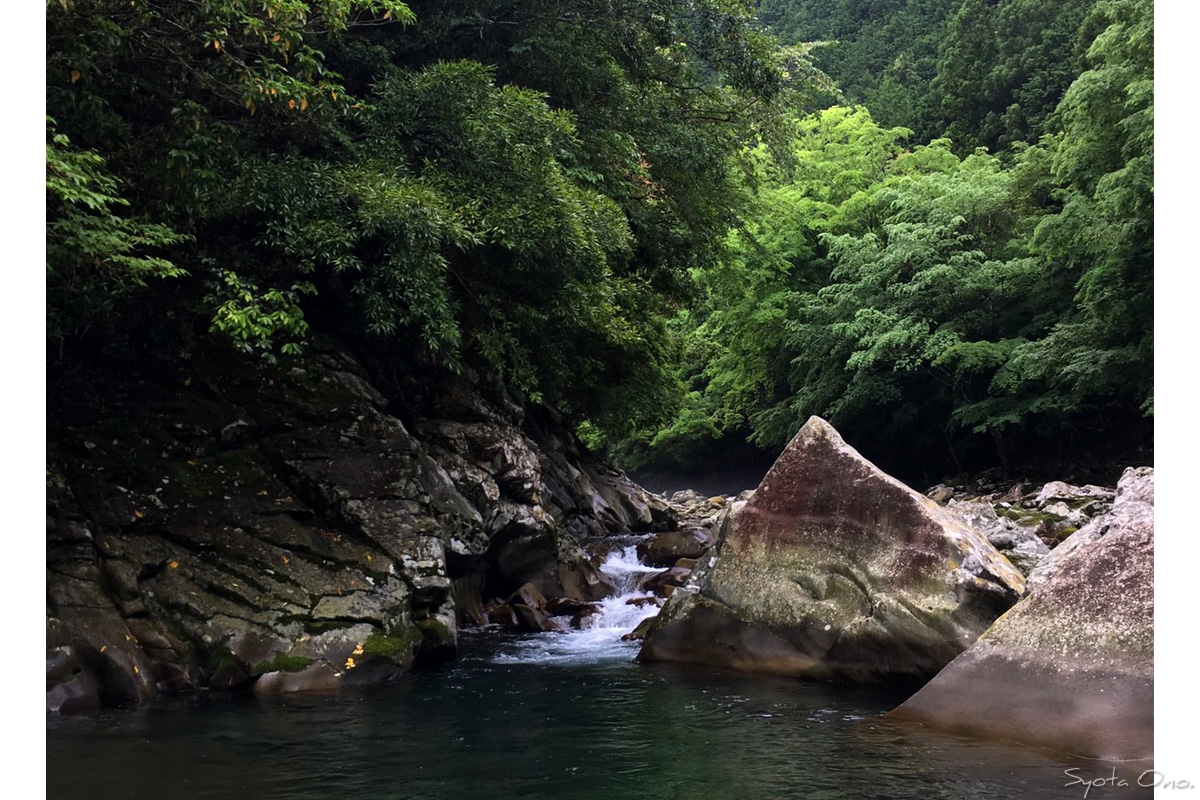 和歌山県日置川・前の川 アマゴ渓流ミノー釣行