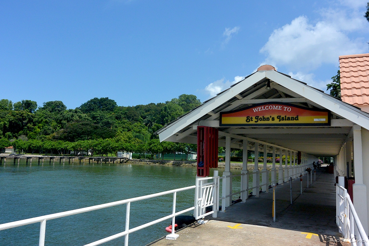 シンガポール・セントジョンズ島で大量のダツを釣ってきた