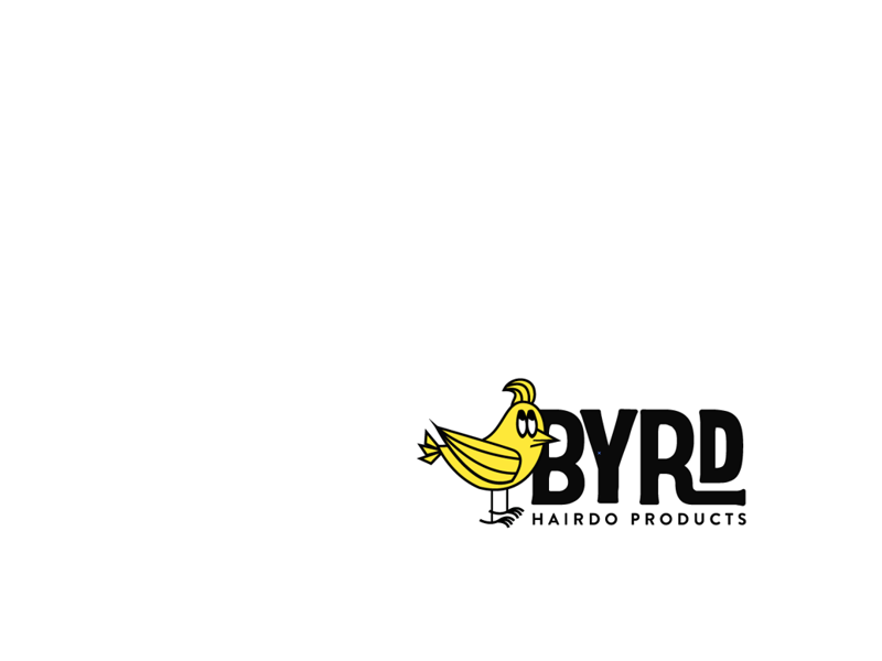 BYRD HAIRDO PRODUCTS(バード)