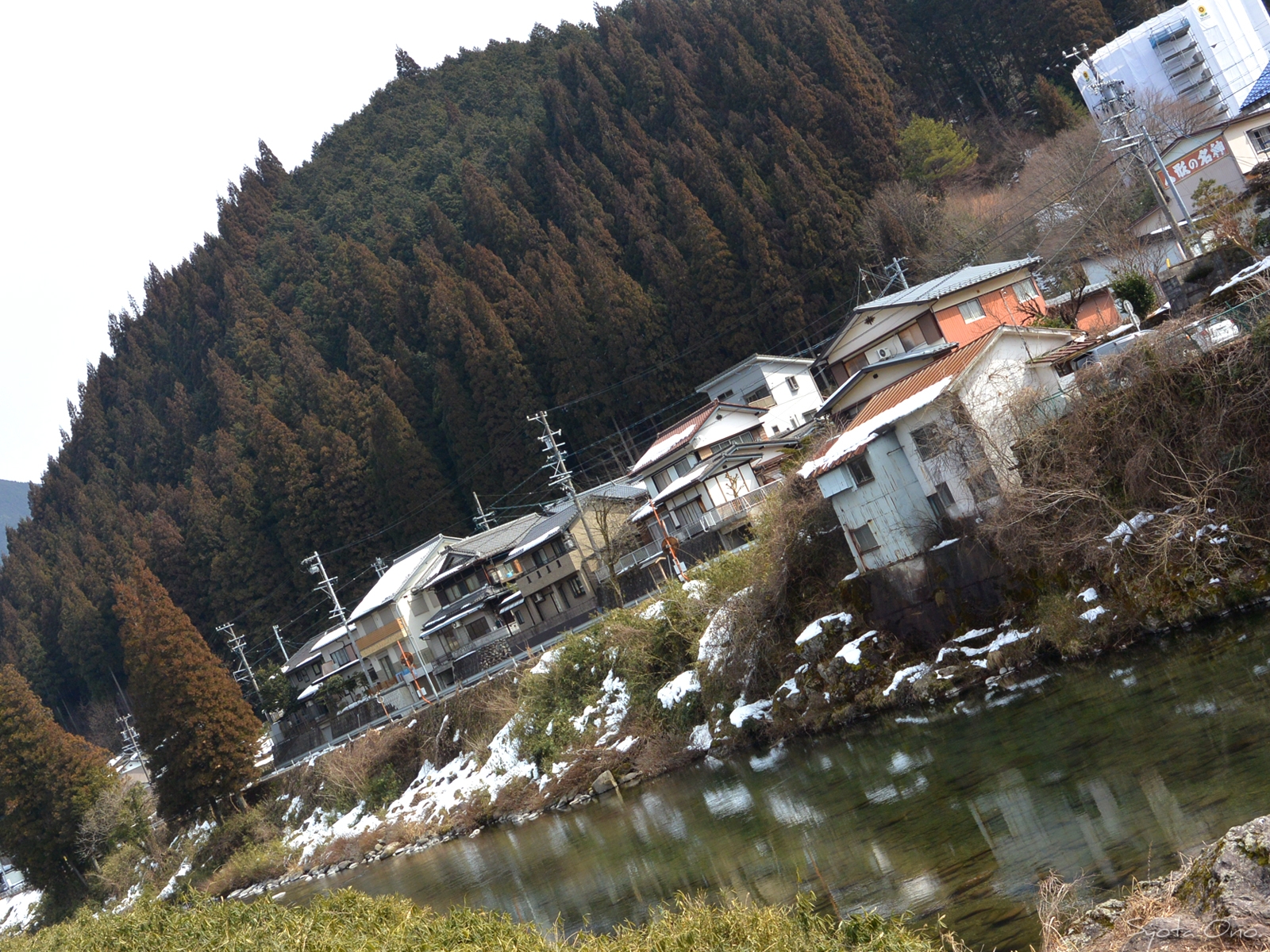 【岐阜県郡上長良川】はじめてのフライフィッシング