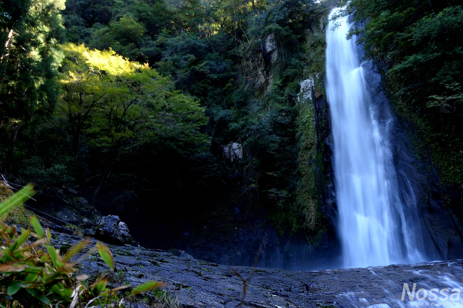 【熊野古道】宝龍の滝（裏那智）と、大門坂～熊野那智大社・那智の滝を訪ねて