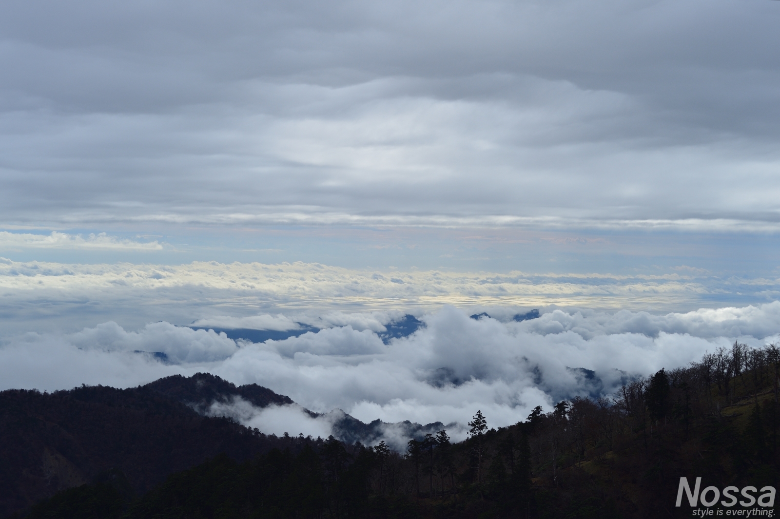 長野 富士見台高原での雲海 日の出 紅葉写真撮影 雲海ハーバー 釣りと旅 写真のブログ Nossa ノッサ