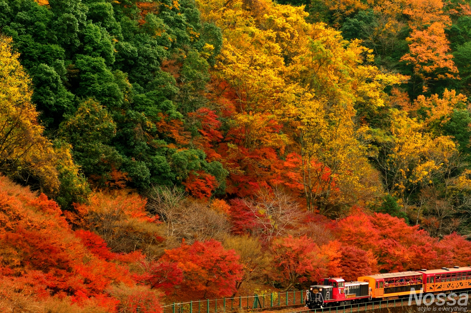 列車 嵯峨野 トロッコ
