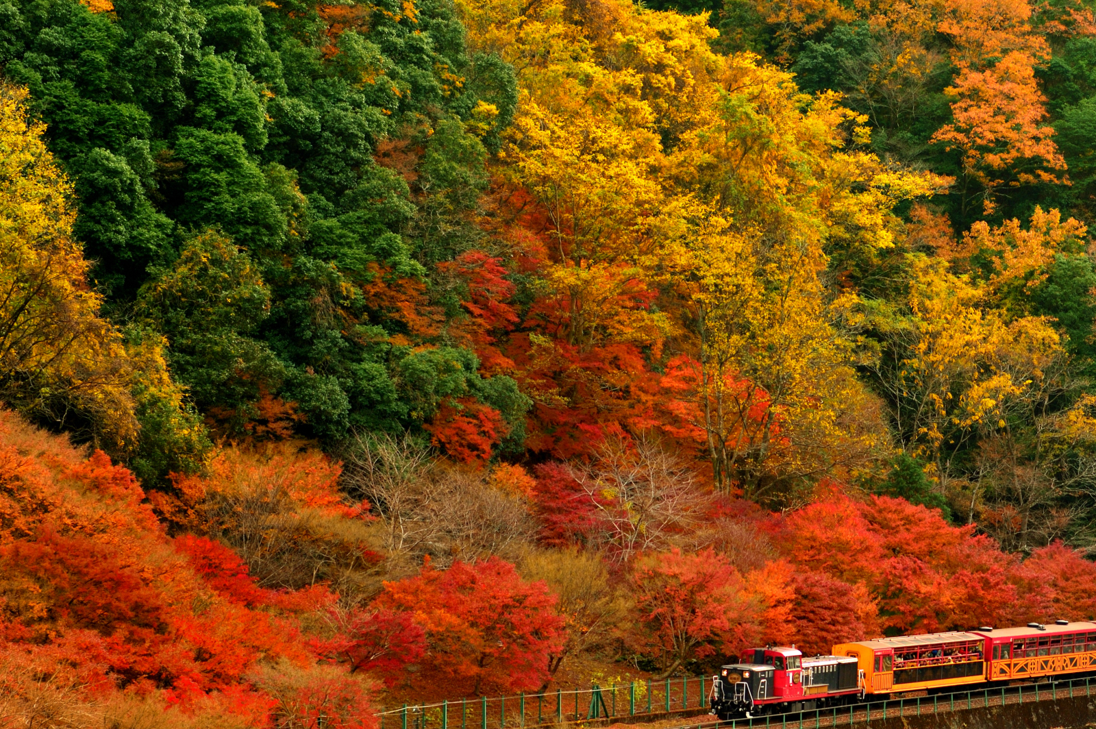 鉄道風景 紅葉する京都で嵯峨野トロッコ列車を撮影 釣りと旅 写真のブログ Nossa ノッサ