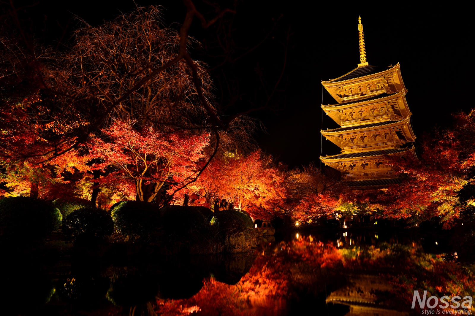 【京都東寺】紅葉ライトアップを撮影してきました