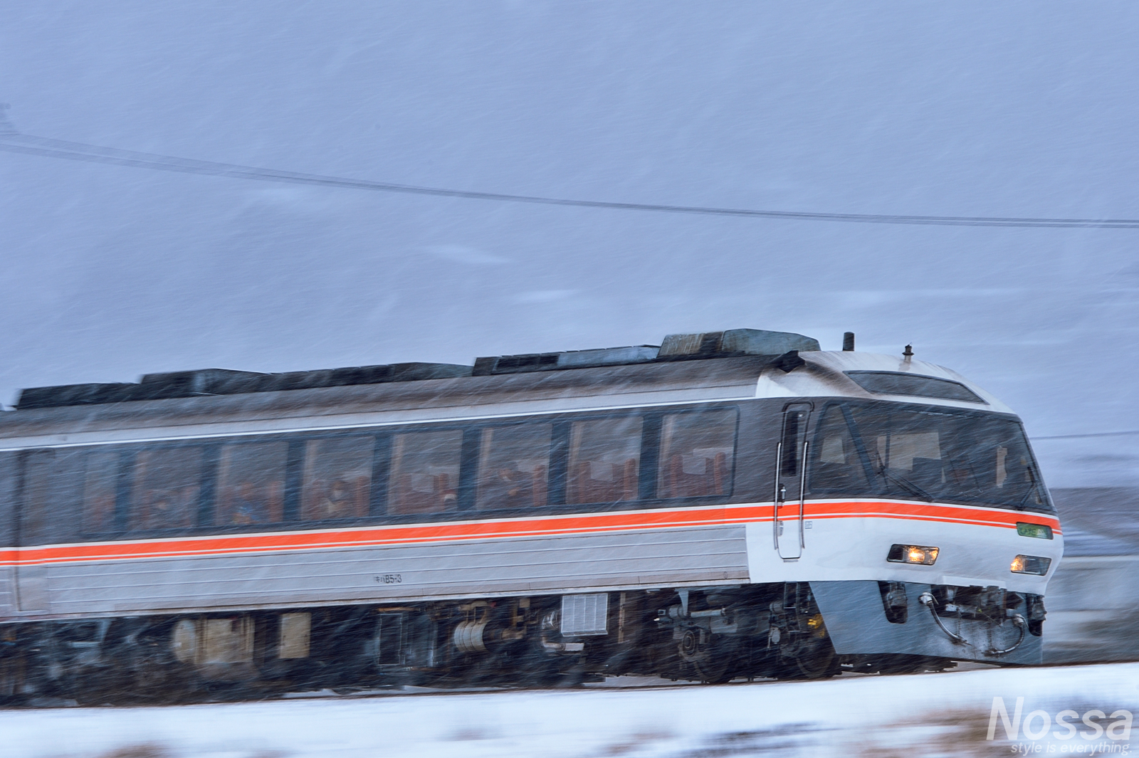 【岐阜】長良川鉄道と高山本線キハ85系ワイドビューひだの鉄道風景