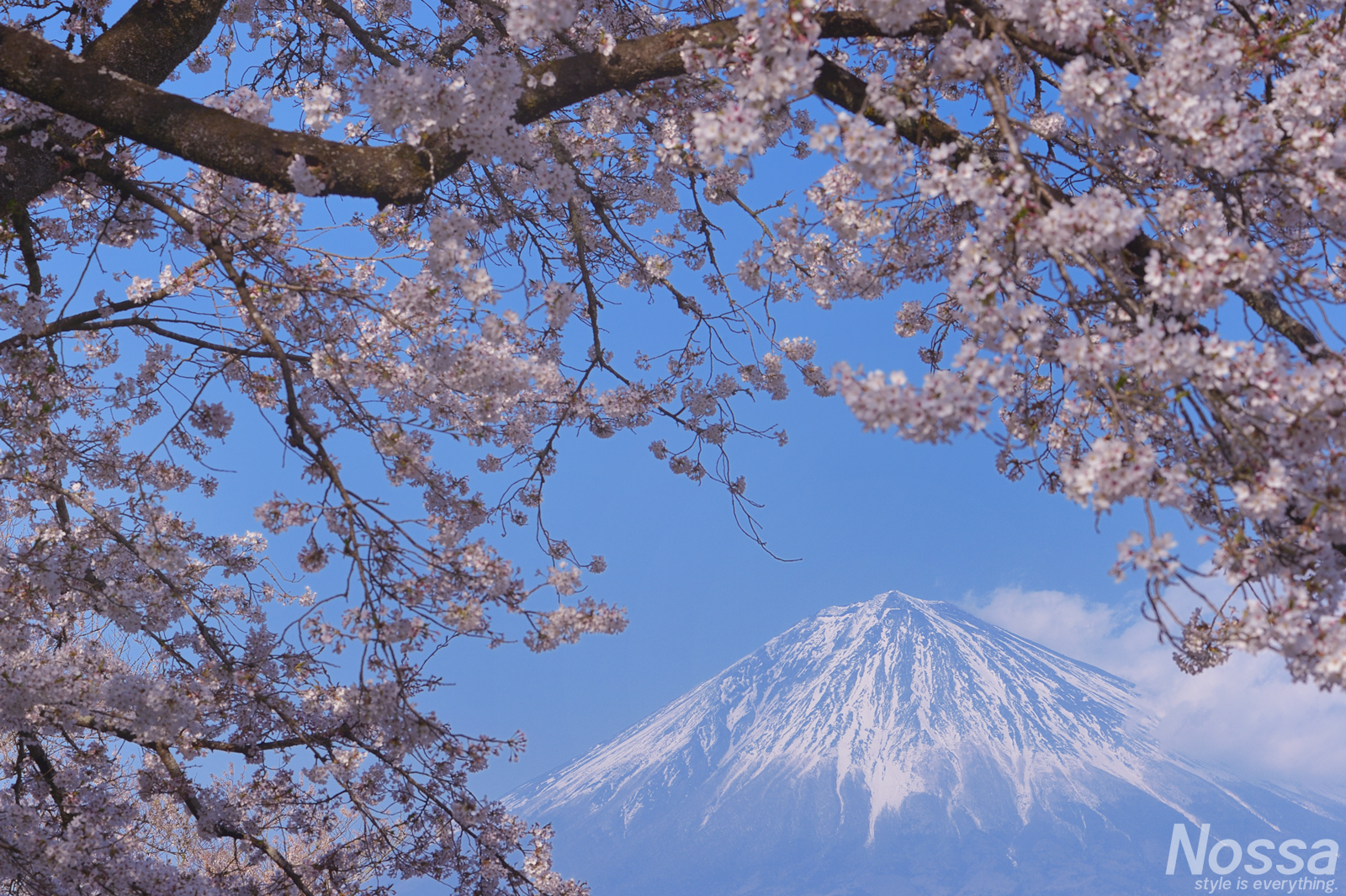 潤井川龍巌渕に興徳寺　富士山と桜の名所・絶景スポットで撮影【静岡側】