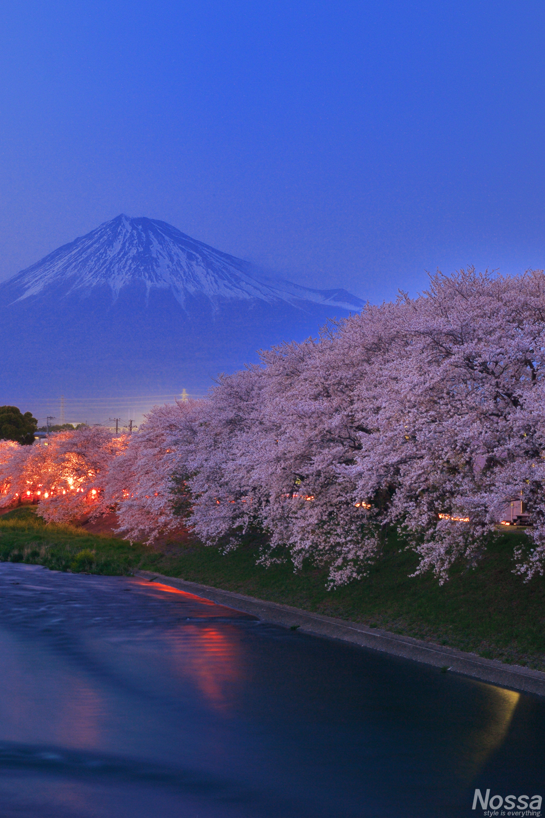 潤井川龍巌渕の夜桜
