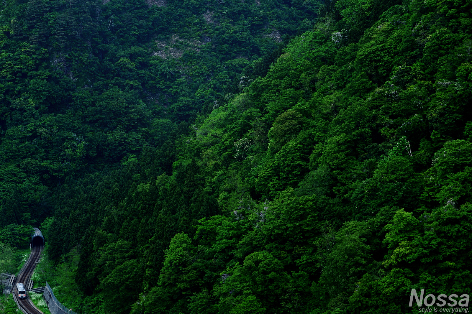新緑・雨飾山・リフレクション…大糸線JR西日本区間で鉄道風景写真を撮影