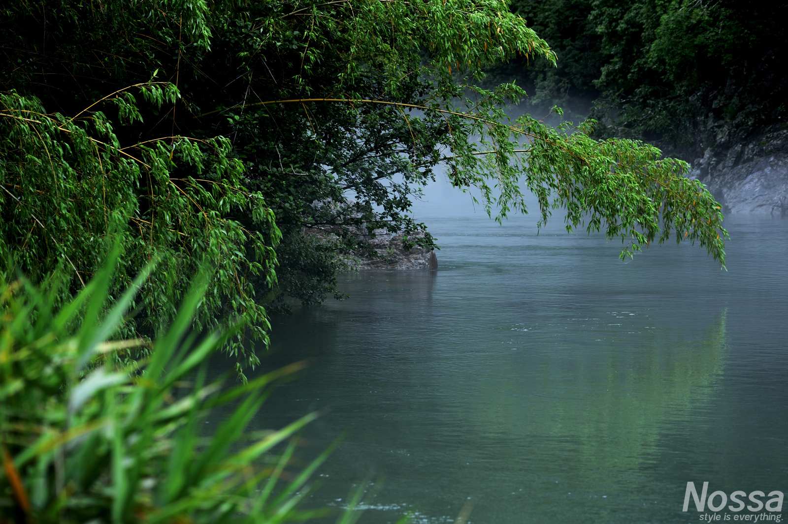 岐阜県板取川キャンプ場「川瀬見」へ。川霧漂う幻想的な風景が素晴らしかった。