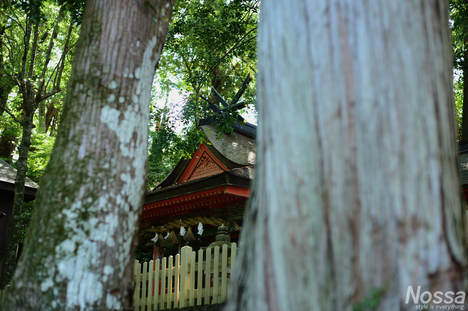 高原熊野神社