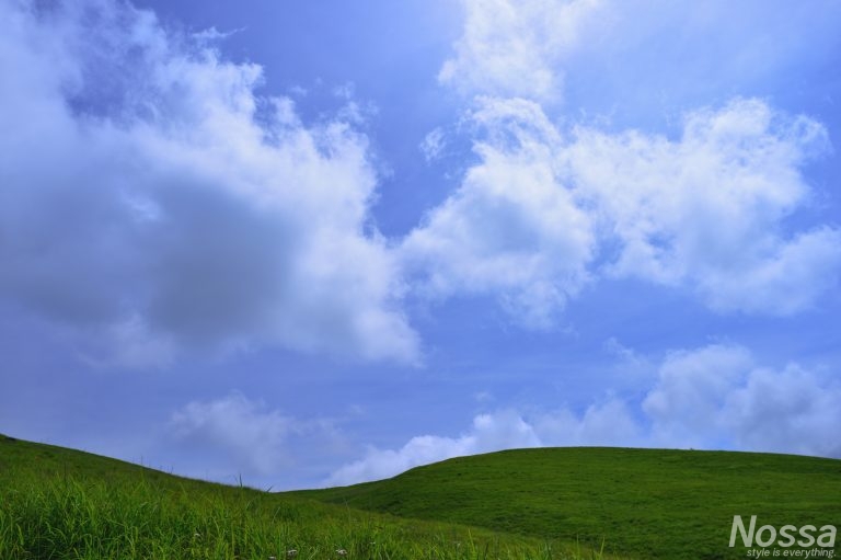 霧ヶ峰