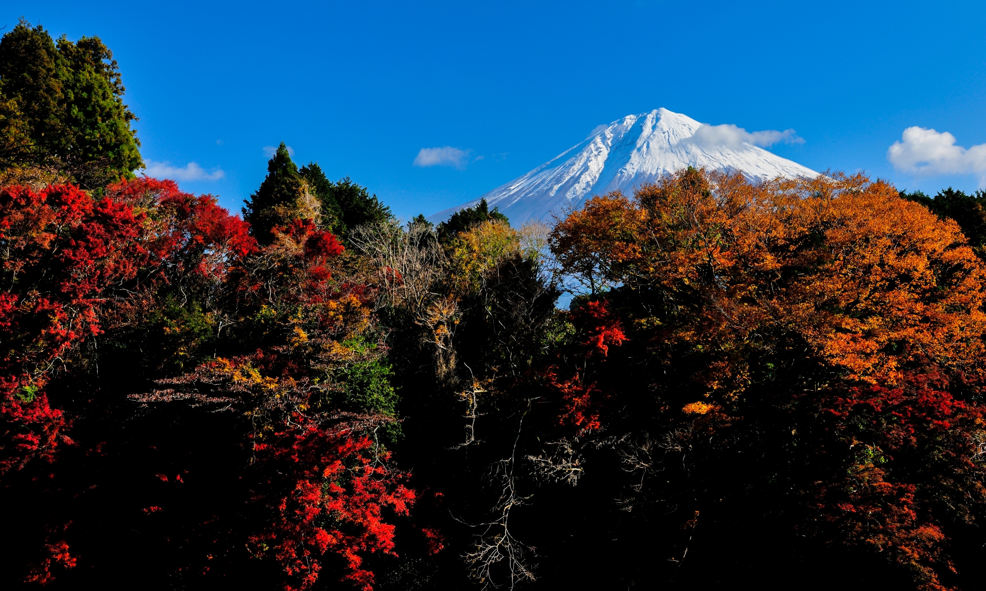 白糸の滝から眺める富士山