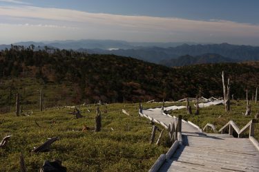 日の出前から丸一日かけて東大台全コース堪能。秋の大台ケ原を登山&撮影Day2