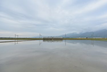 心癒される田園風景。水田にリフレクションする養老鉄道を撮影