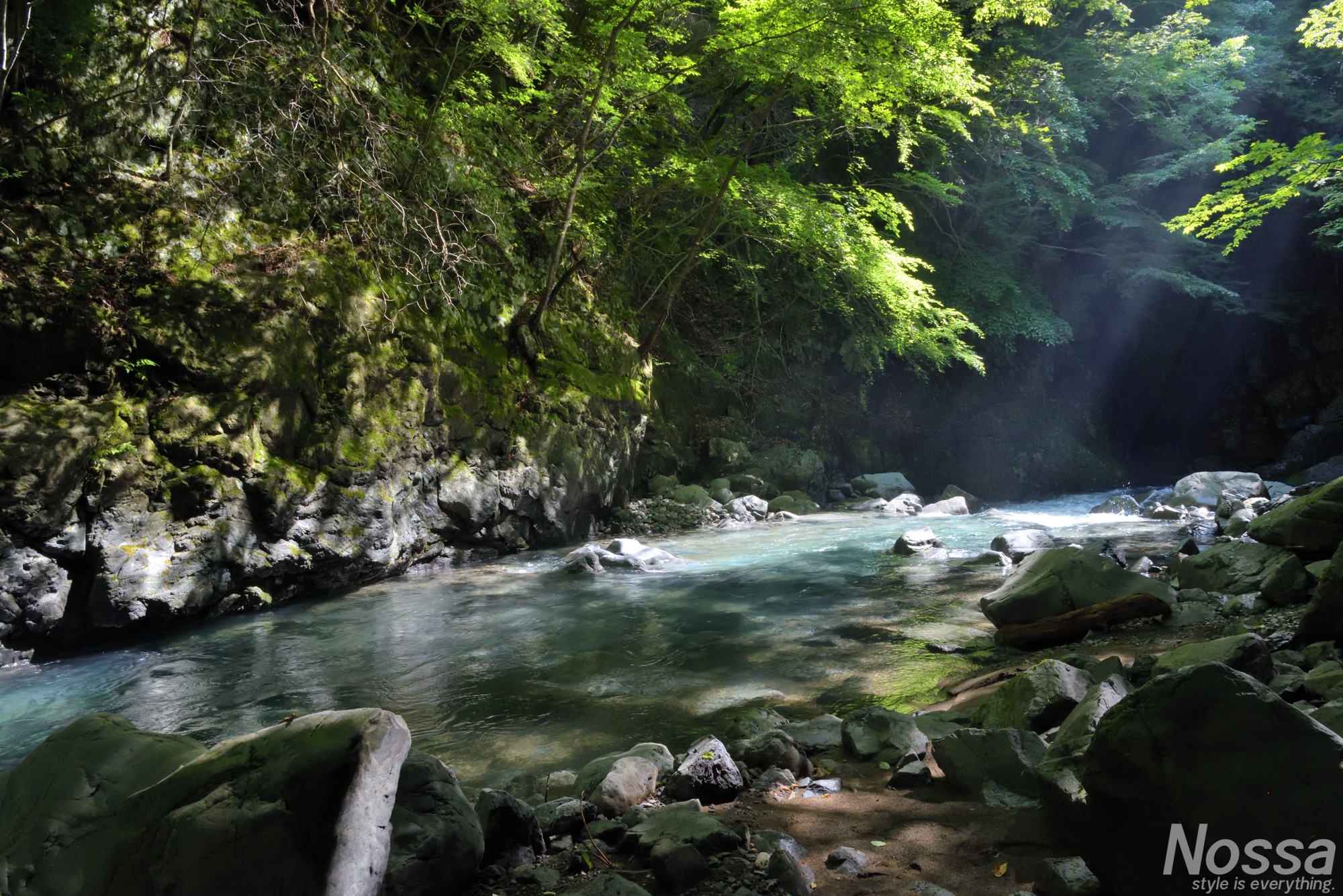 渓流に差し込む陽の光 和歌山県日高川水系源流域