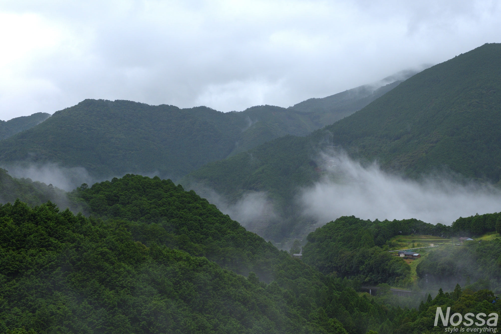 雨上がりの熊野川山間部