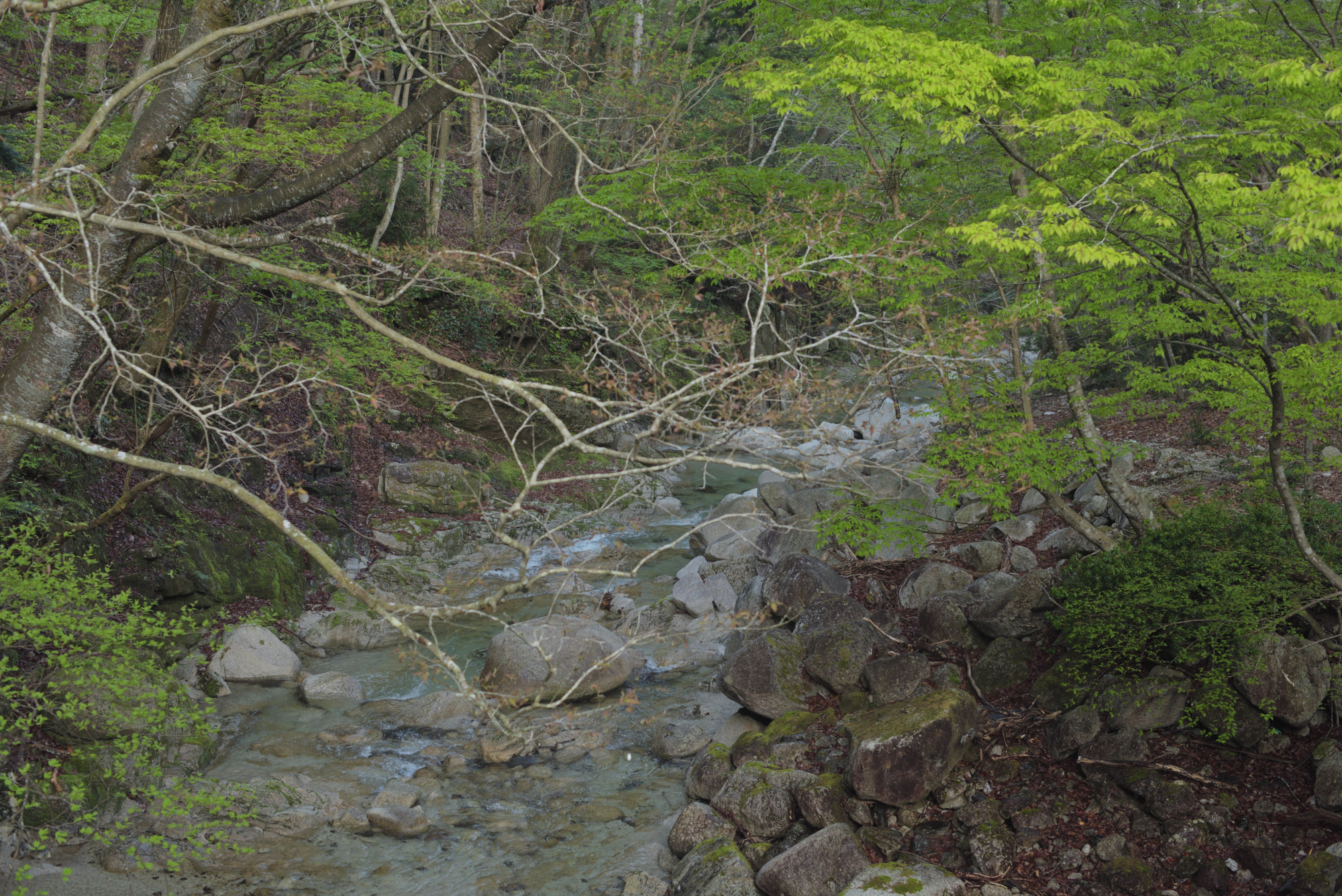 花崗岩の川。川底が白くて美しい