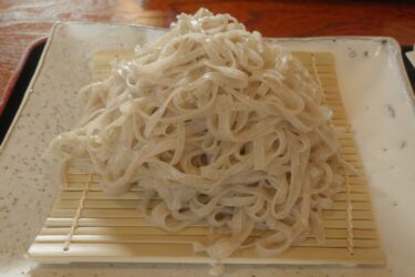 長野県須坂市「泰眞（たいしん）」で、希少で美味しいきりもみ蕎麦を堪能してきました