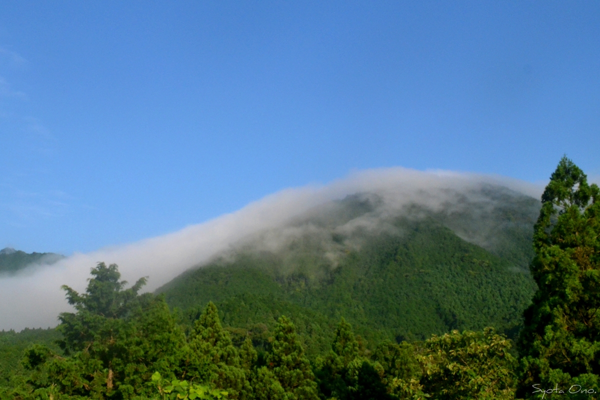 和歌山県南紀磯ヒラスズキ釣行の風景