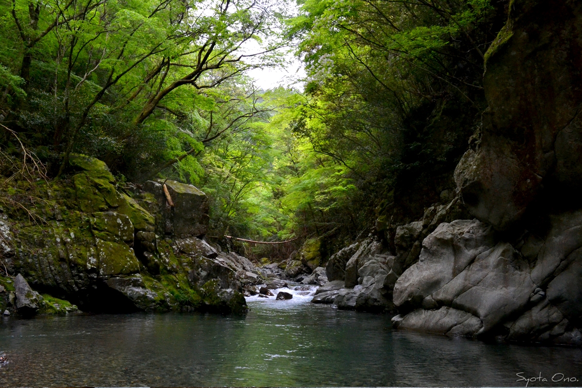 和歌山県南紀・富田川の風景